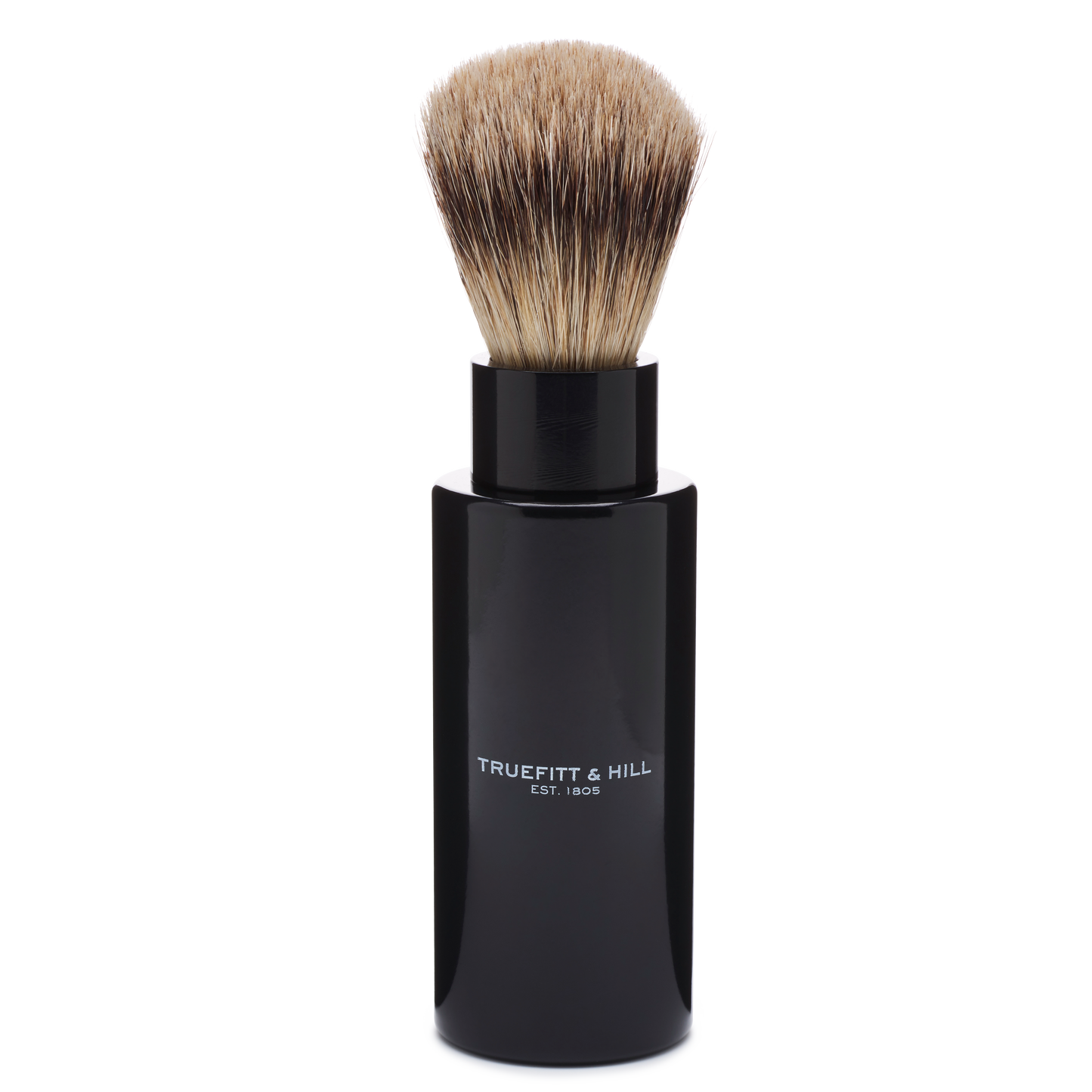 TRAVEL BRUSHES