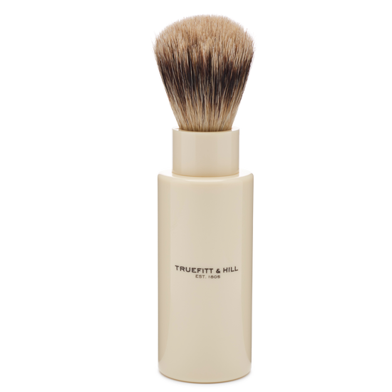 TRAVEL BRUSHES